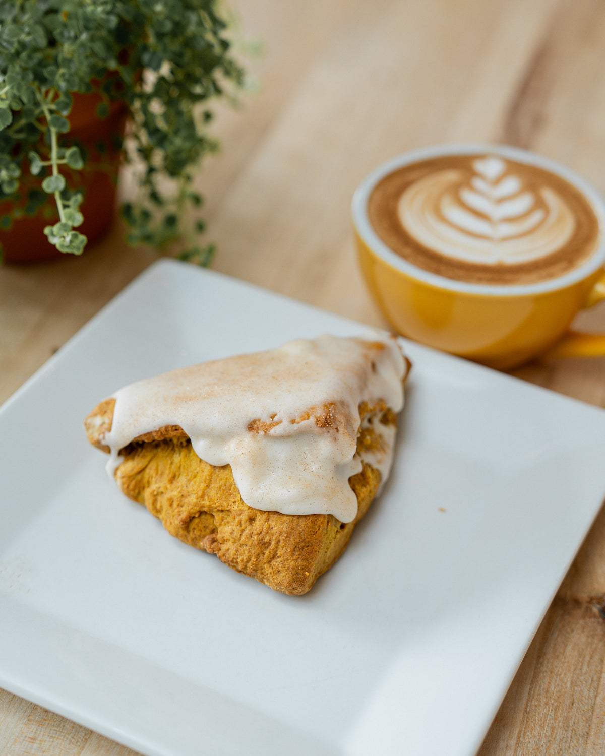 Thanksgiving Pumpkin Spice Scones